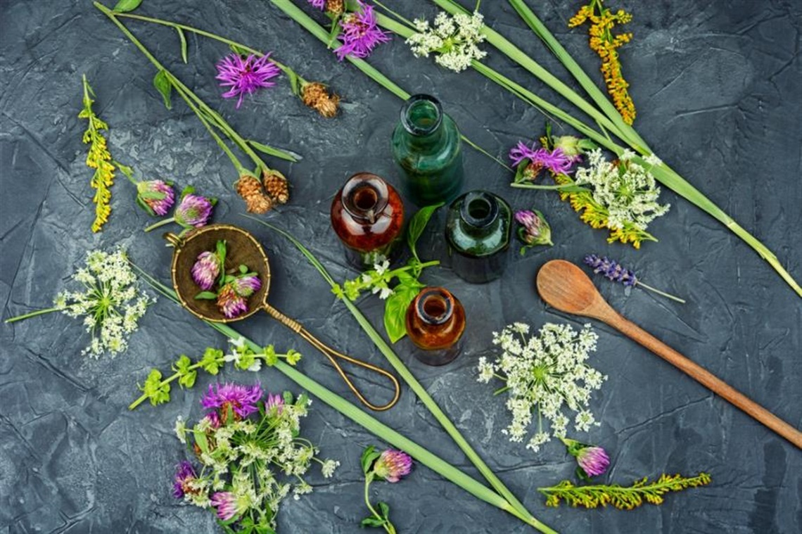 medicinal plants drying