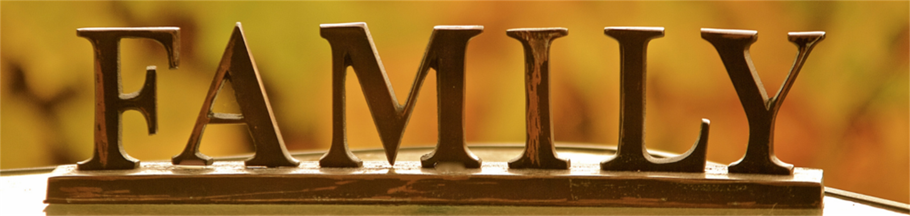 Family 1024 x244.png