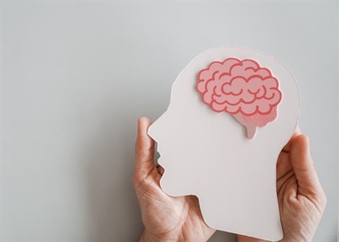 exploring brain health