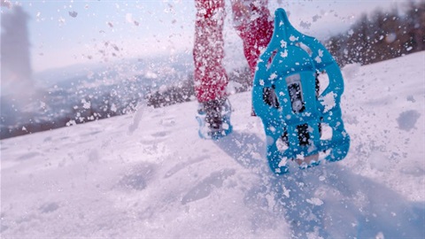Learning to Snowshoe