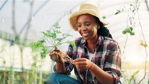 African American woman gardening